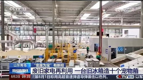 央视聚焦循环经济新篇章 海尔再循环树立废旧家电回收行业标杆