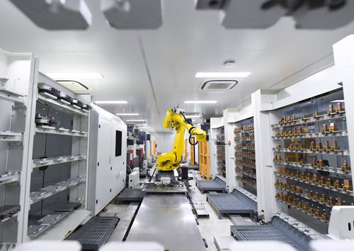 金融活水浇灌科技创新沃土 社会经济咨询服务的赋能之道